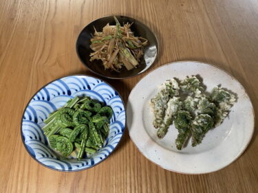 春の山菜 うどのきんぴら こごみのてんぷら おひたし 下準備 アク抜き 春の山菜 うどのきんぴら こごみのてんぷら おひたし 下準備 アク抜き