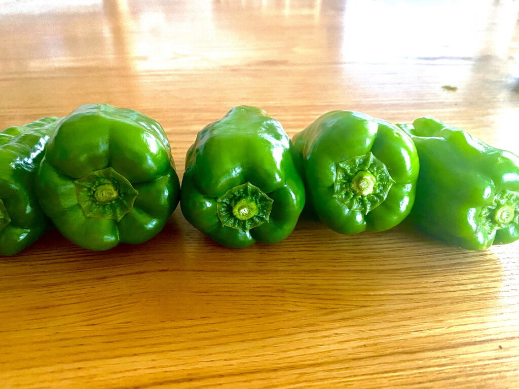 初心者 作り置き ピーマン焼きびたし 初心者でも簡単に作れるレシピ 材料はひとつ